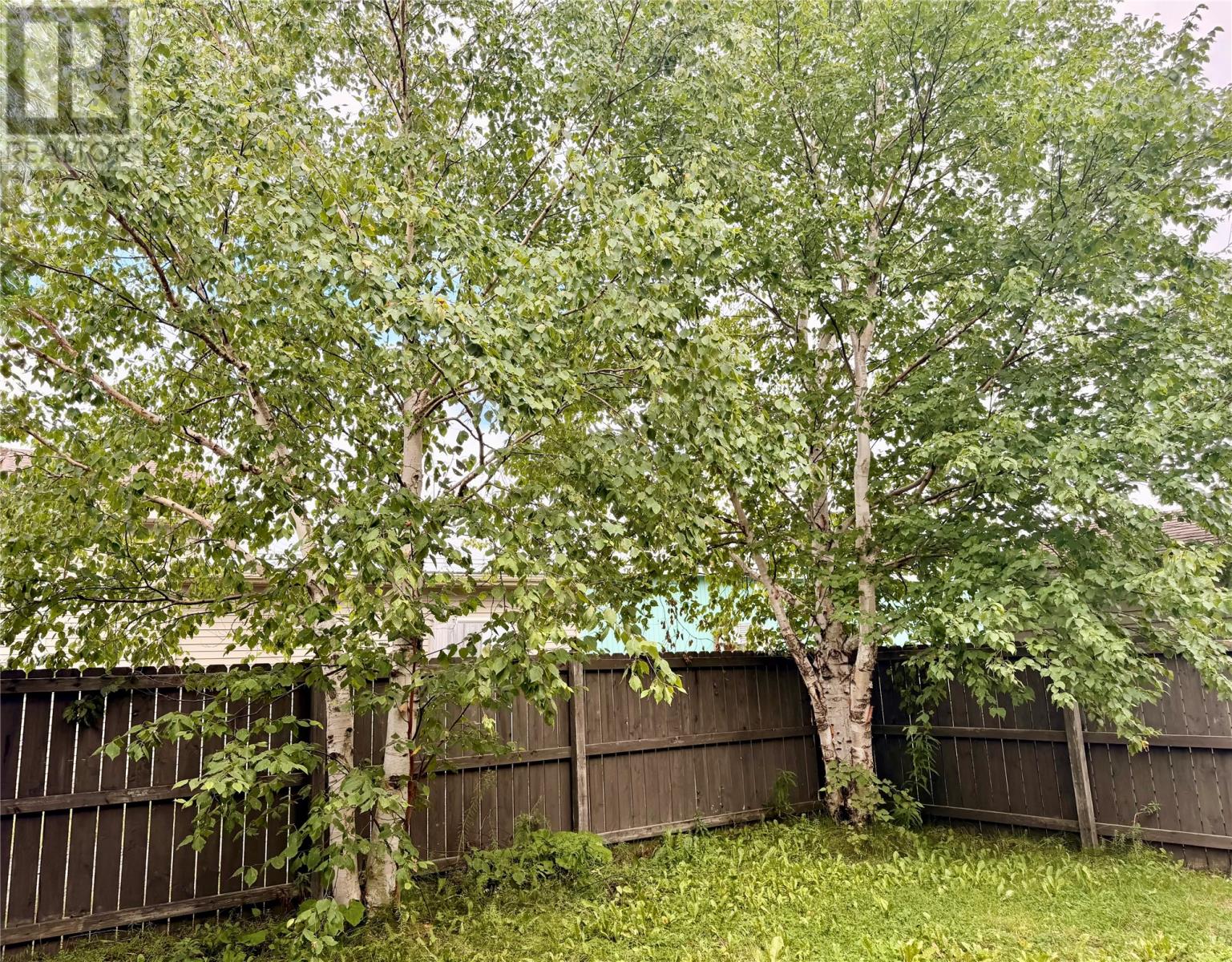 3 Swan Avenue, Clarenville — photo 4