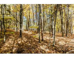 3257 Liah Lane, Innisfil, ON L9S2B4 Photo 35
