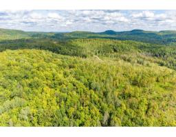 900 Riv. Coulonge, Mansfield Et Pontefract, QC J0X1R0 Photo 25