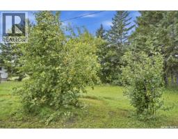 202 Princess Avenue W, Hafford, SK S0J1A0 Photo 33