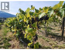 Panaroma Drive Lot# Lot B, Grand Forks, BC V0H1H2 Photo 14