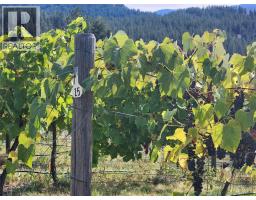 Panaroma Drive Lot# Lot B, Grand Forks, BC V0H1H2 Photo 15