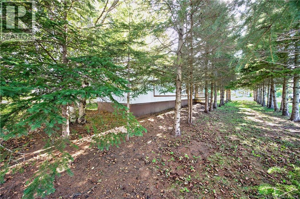 20 Knox Street, Miramichi — photo 5