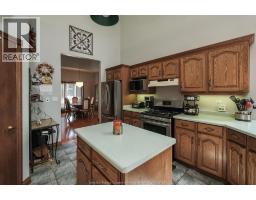 Family room/Fireplace - 1747 Chornoby Crescent, Tecumseh, ON N8N5A1 Photo 8
