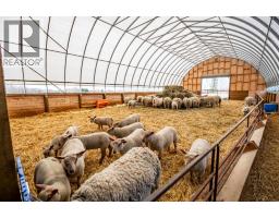 37408 Sand Road, Rural Red Deer County, AB T4S1E2 Photo 48