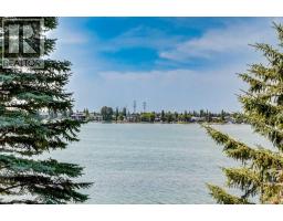 1001 East Chestermere Drive, Chestermere, AB T1X1A8 Photo 22