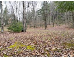 4 Ch. M.-cousineau, Val Des Monts, QC J8N4G7 Photo 15