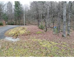 4 Ch. M.-cousineau, Val Des Monts, QC J8N4G7 Photo 6