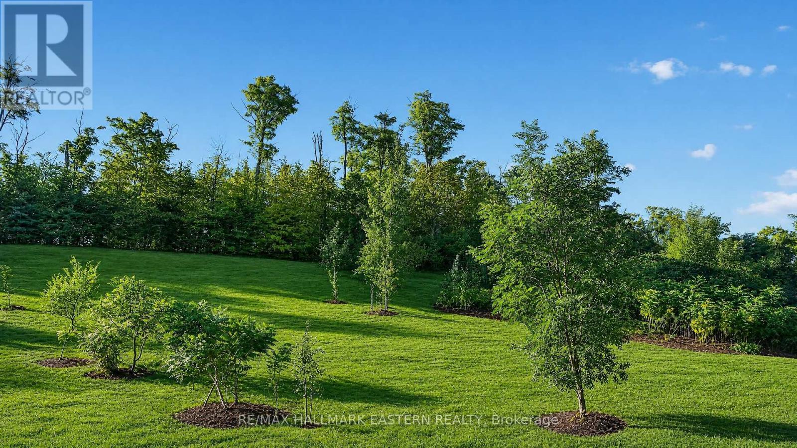 406 Country Lane, Selwyn, ON photo 17