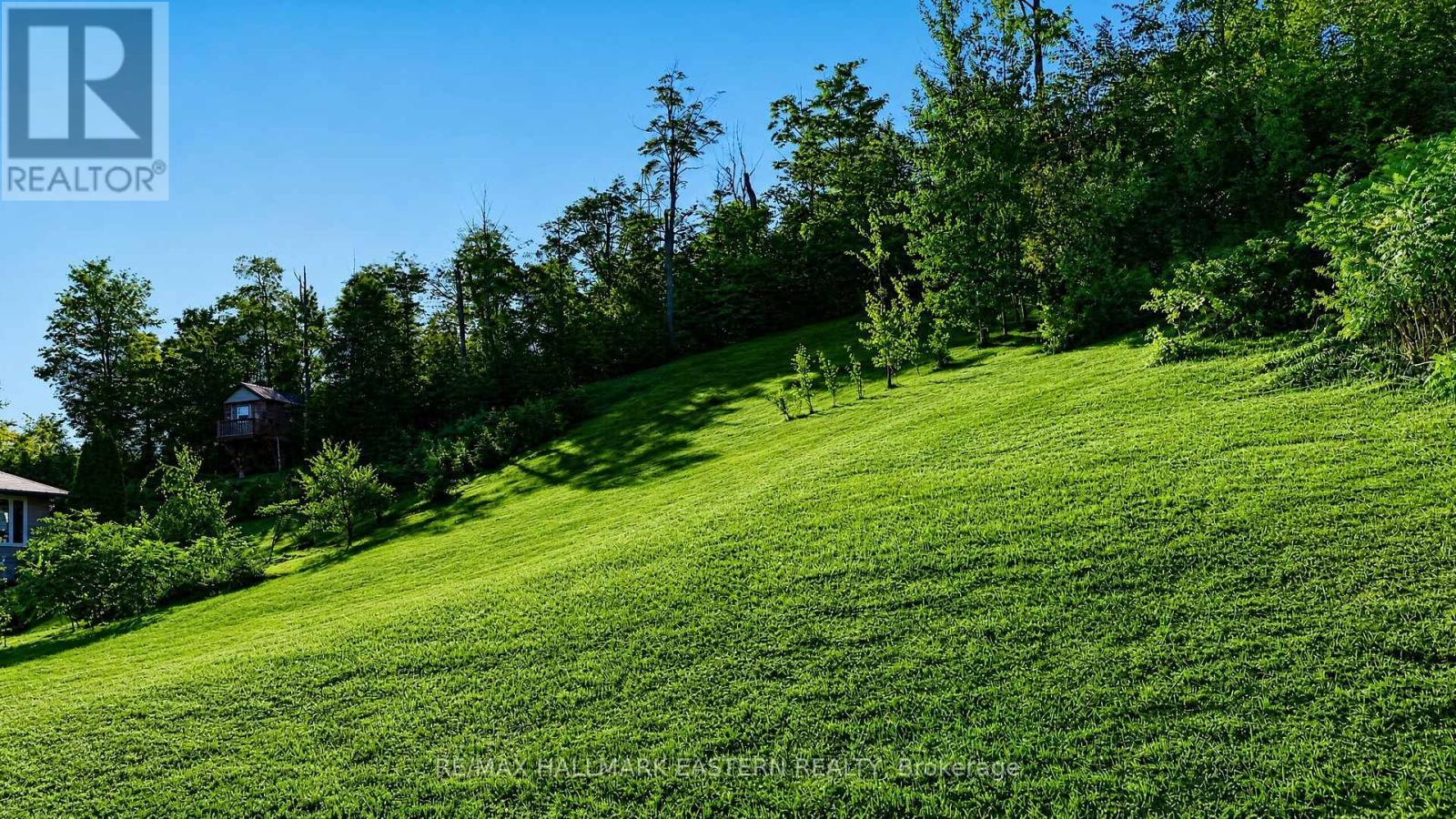 406 Country Lane, Selwyn, ON photo 18