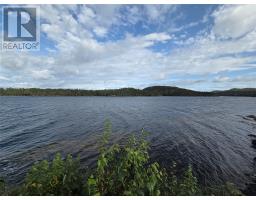 3 Indian Cove Road, Ritters Arm, NL A0H1E0 Photo 21