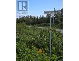 3 Indian Cove Road, Ritters Arm, NL A0H1E0 Photo 49