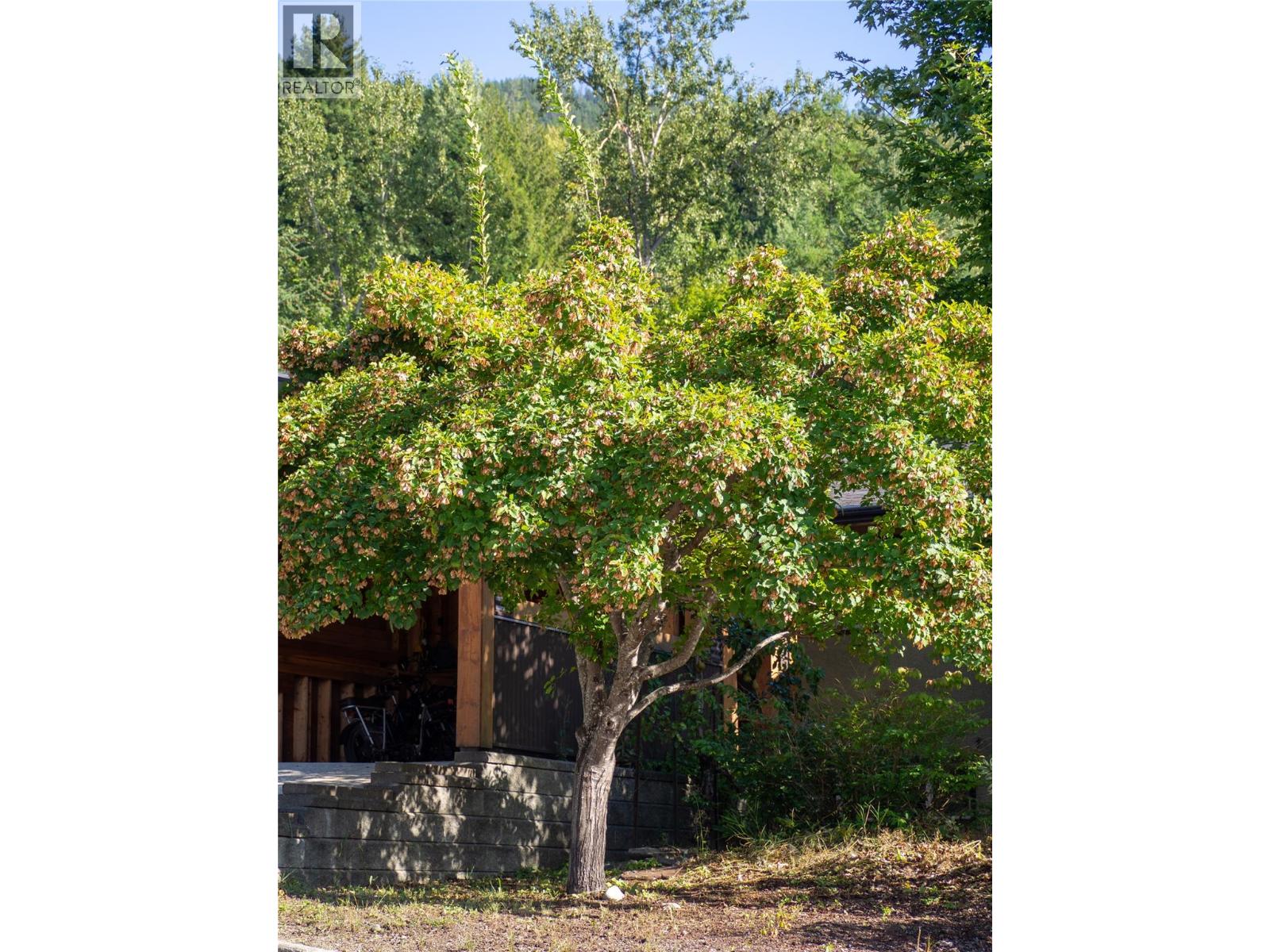 518 Delbruck Street - Image 54