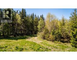 808 Newtonville Road, Forest Hill, NS B4P2R1 Photo 23