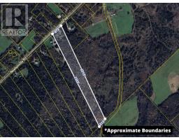 808 Newtonville Road, Forest Hill, NS B4P2R1 Photo 27