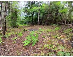 Northfield Road, Upper Northfield, NS B0R1E0 Photo 6