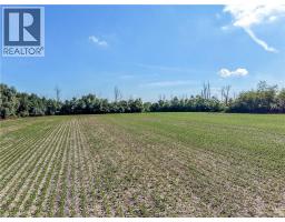 Pt Lt 13 Highway 6, Hagersville, ON N0A1H0 Photo 14