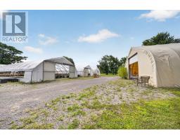 230 Hwy 20 E, Thorold, ON L0S1E6 Photo 10
