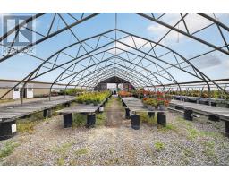 230 Hwy 20 E, Thorold, ON L0S1E6 Photo 12
