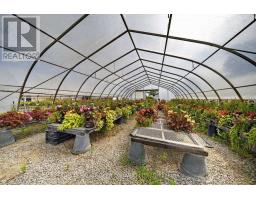 230 Hwy 20 E, Thorold, ON L0S1E6 Photo 15