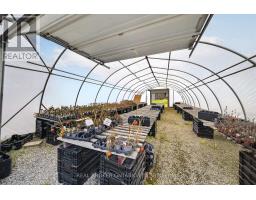230 Hwy 20 E, Thorold, ON L0S1E6 Photo 18