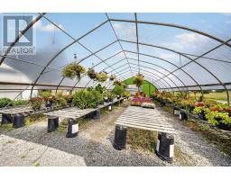 230 Hwy 20 E, Thorold, ON L0S1E6 Photo 21
