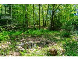 208 Desroches Trail, Tiny, ON L9M0H9 Photo 21