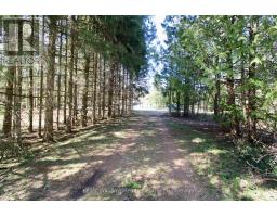 120 Anderson Drive S, West Grey, ON N0G1S0 Photo 11