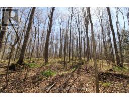 120 Anderson Drive S, West Grey, ON N0G1S0 Photo 10