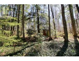 120 Anderson Drive S, West Grey, ON N0G1S0 Photo 9