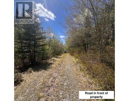 Lot 16 Somerset Drive, East Sable River, NS B0T1V0 Photo 7