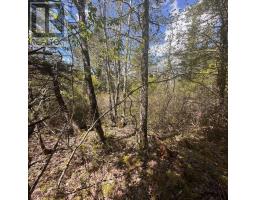 Lot 16 Somerset Drive, East Sable River, NS B0T1V0 Photo 6