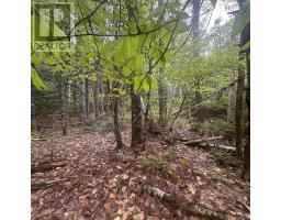 Lot 22 Moose Pit Road, Westfield, NS B0T1B0 Photo 6