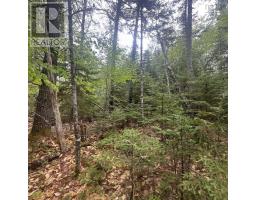 Lot 22 Moose Pit Road, Westfield, NS B0T1B0 Photo 7