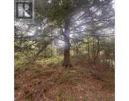 Lot 22 Moose Pit Road, Westfield, NS B0T1B0 Photo 9