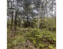 Lot 22 Moose Pit Road, Westfield, NS B0T1B0 Photo 8
