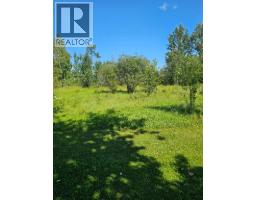 54227 Range Road 150, Rural Yellowhead County, AB T7E3W5 Photo 34