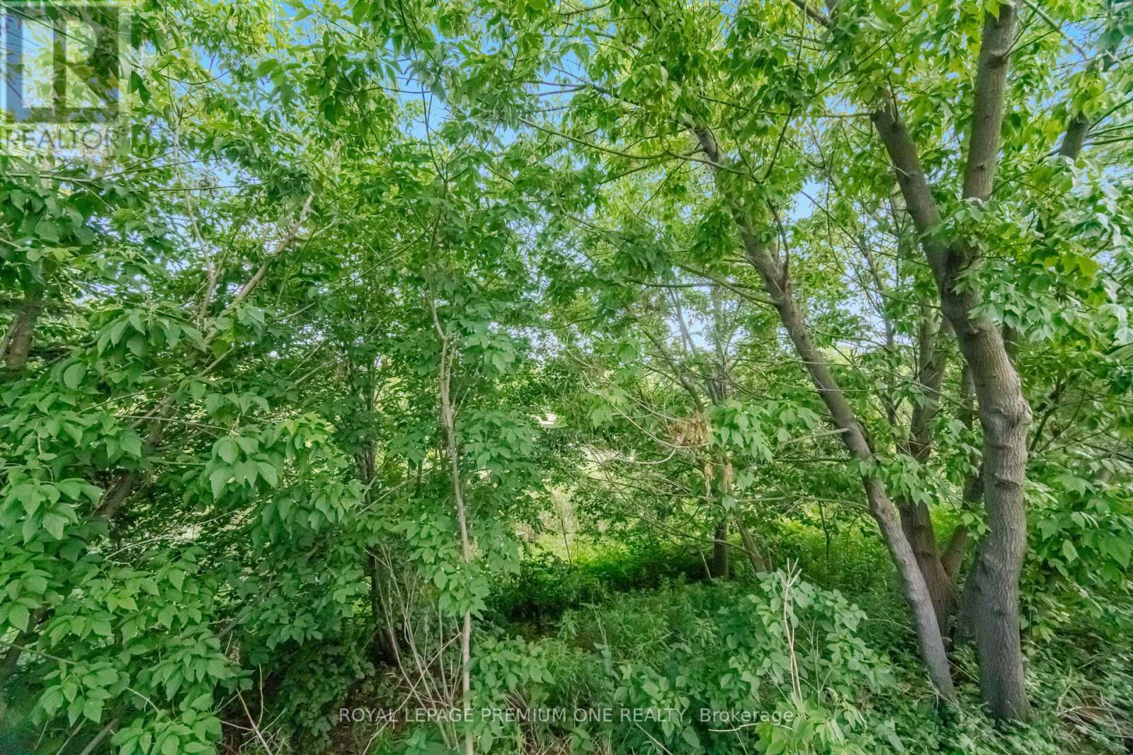 62 LOST POND CRESCENT - 46