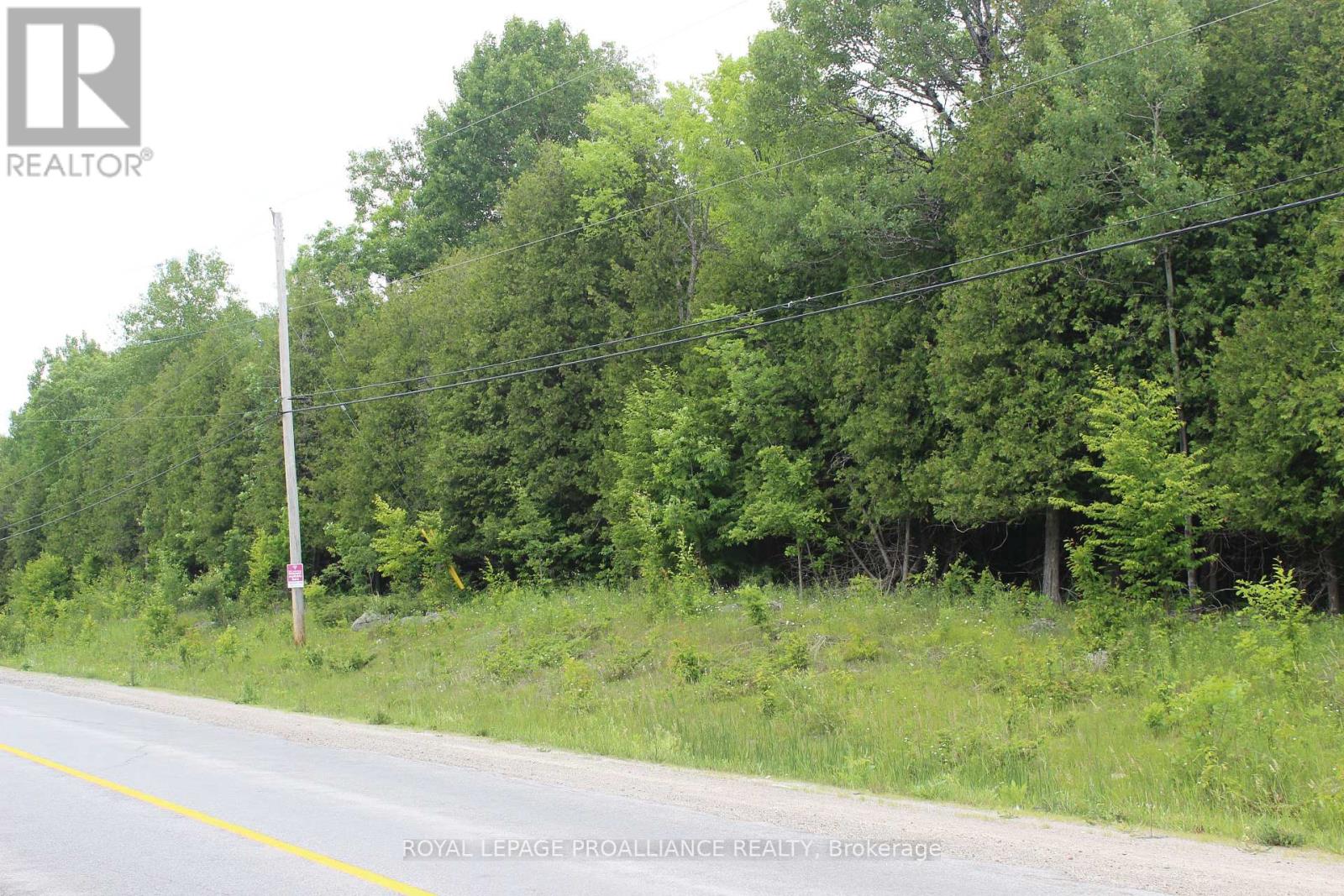 0 MARLBANK RD, Tweed (Hungerford (Twp)) — photo 4