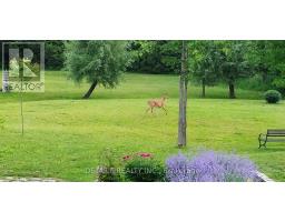 28 Ridingview Crescent, Ottawa, ON K2S1W3 Photo 42