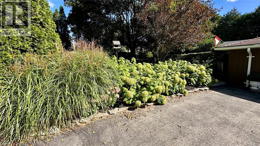 25 HELEN Boulevard - 37