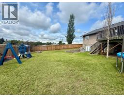 4905 5 Avenue, Chauvin, AB T0B0V0 Photo 28