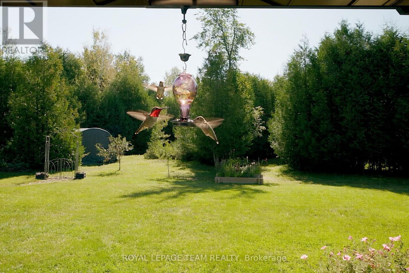 3417 COUNTY ROAD 16 ROAD - Image 40