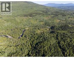 Dl 1413 Barcalow Road, Kitwanga, BC V0J2A0 Photo 10