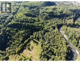 Dl 1413 Barcalow Road, Kitwanga, BC V0J2A0 Photo 21