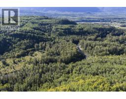 Dl 1413 Barcalow Road, Kitwanga, BC V0J2A0 Photo 9