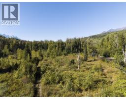 Dl 1413 Barcalow Road, Kitwanga, BC V0J2A0 Photo 24