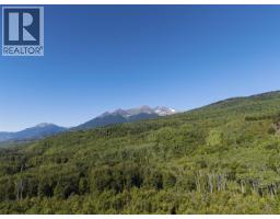 Dl 1413 Barcalow Road, Kitwanga, BC V0J2A0 Photo 28