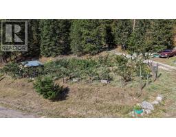 1021 Creighton Valley Road, Lumby, BC V0E2G1 Photo 22