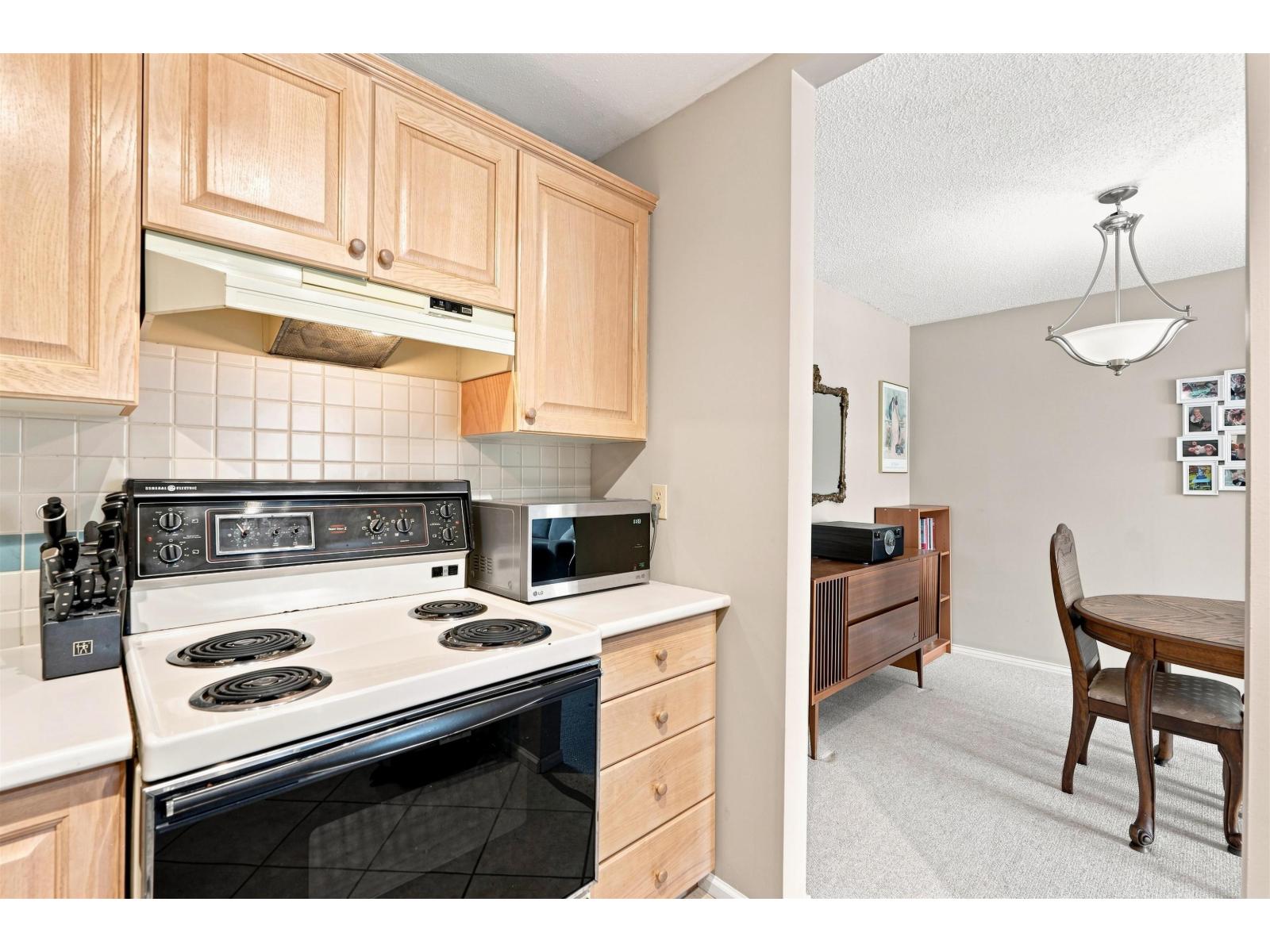 203 1840 E SOUTHMERE CRESCENT, Surrey — photo 8